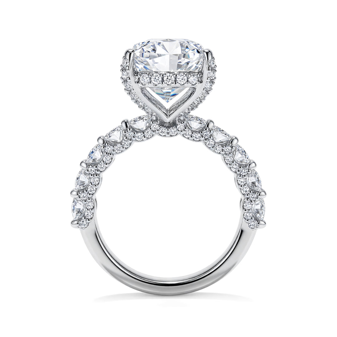 DIAMONDS TWINS RING | MOISSANITE 15.42 Carat