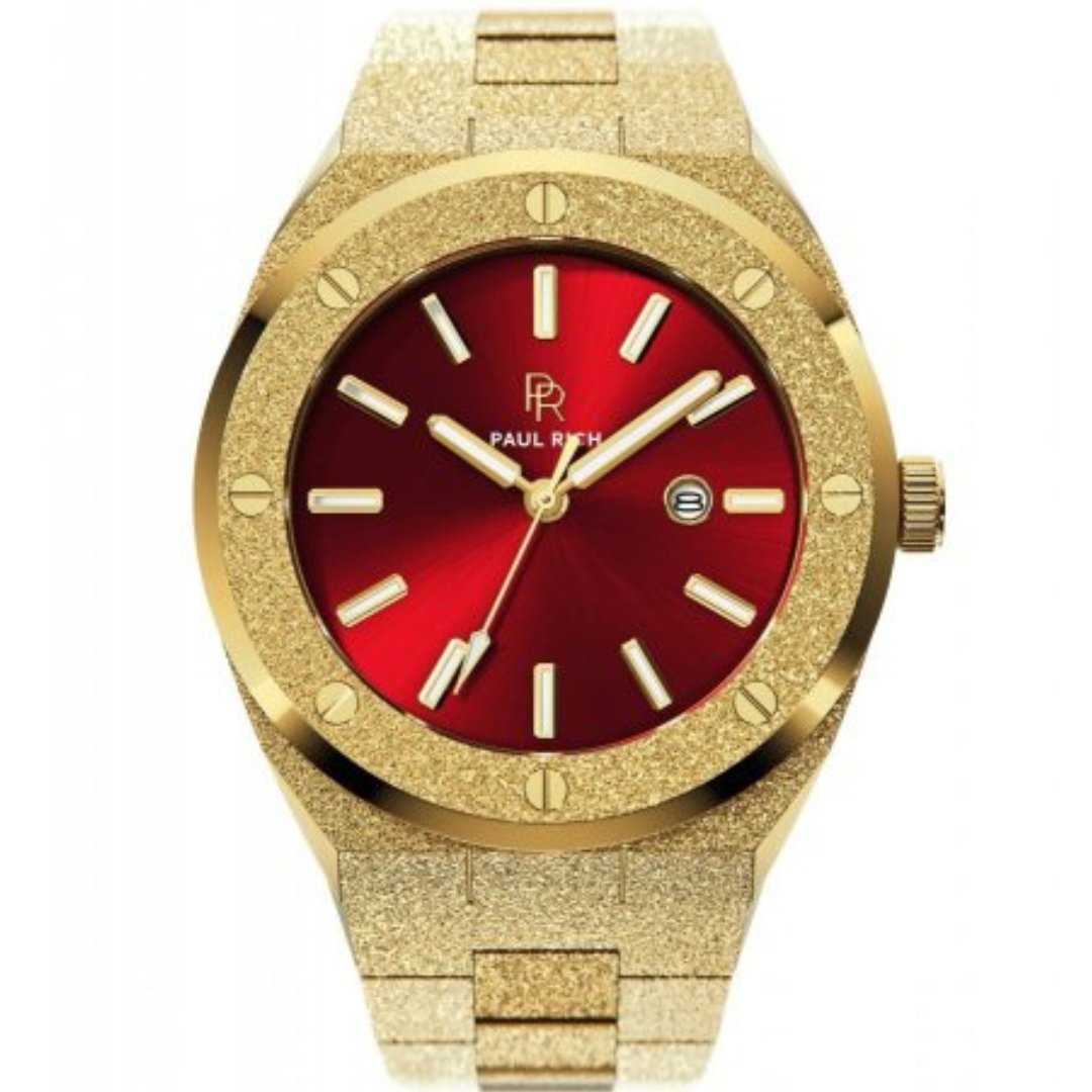 PAUL RICH WATCH